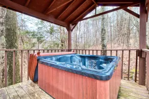 Overview, 2 Bedrooms, Grill, Hot Tub, Pool Table, Sleeps 6 - Image 3