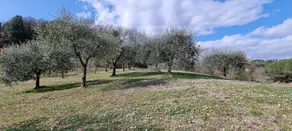 Casolare Di Capilato - Image 4