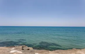 Villa Betty - Image 4
