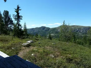 Furulie Cabin - Flå - Image 3