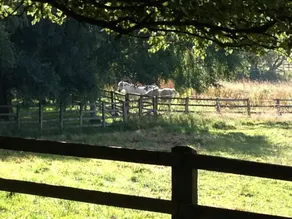 Grange Farm B & B - Image 4
