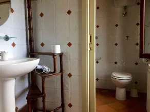 Orchidea - Image 5