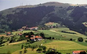 Tolare Berri - Image 5
