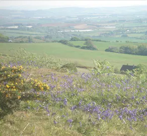 Hermitage Court Farm - Image 3