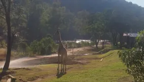 Ruah Park Camping & Outdoor - Image 5
