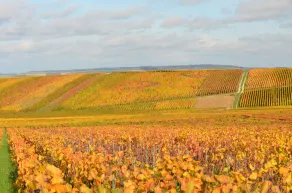 Chateau De Courmelois - Image 5
