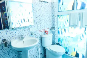 Blue Elephant Tourist Guest House - Image 2