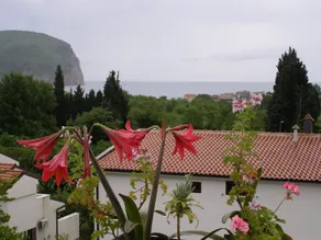 Hotel Angelo Gabriel - Image 4