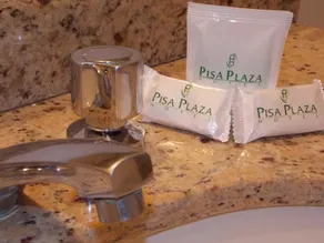 Pisa Plaza Hotel - Image 5