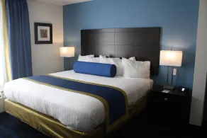 Holiday Inn Express St. Louis Airport - Maryland Heights - Image 3