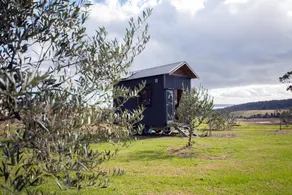 Dyl & Lil's Tiny House on Wheels - Image 2