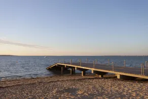 Sous Les Pins - Image 2