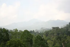 Jayamali Homestay - Image 4