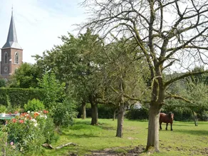 Holiday Home in Teuven With Garden - Image 3