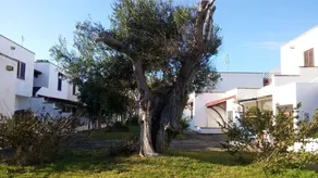 One bedroom appartement at Melendugno 200 m away from the beach with furnished balcony - Image 5