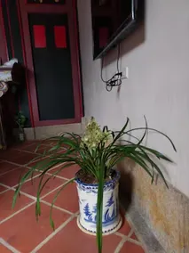 Sunny's Home - Image 5