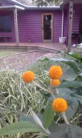 12 Apostles Hinterland Cottages - Image 4