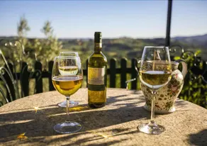Tuscan Sun Villa - Image 2