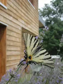 D'une Autre Nature - Image 4