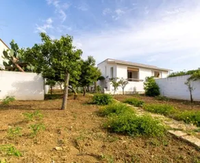 Appartamenti Trasolemare - Image 2