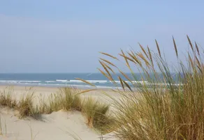Den Briever-damme Child Friendly - Image 4