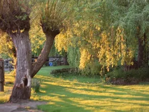 Oak House Farm - Image 5