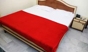 Hotel Padmini Palace - Image 2