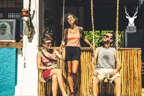 Venado Hostel - Image 5