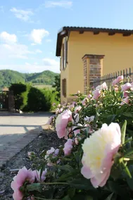 Barbera's Home - Image 4