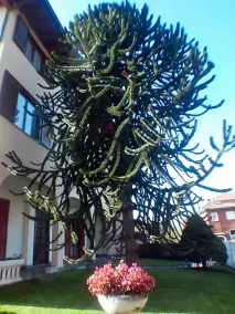 Oasi Milano Apartments - Image 2
