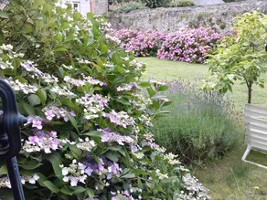 Chez Catie - Image 5