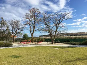 Yanchep Beach Townhouse - Image 4