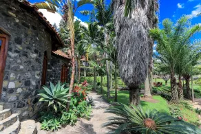 The Palm Beach Resort - Image 3