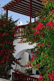 Akrogiali Hotel - Image 2