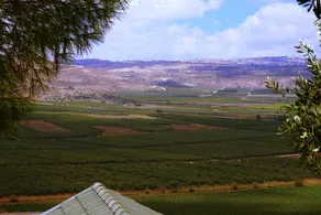 Aviv Bakerem - Image 3