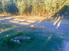 Agriturismo Sogno Latino - Image 4