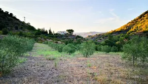 Mas Ardèvol - Image 4