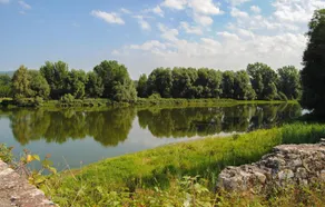 Amazing Home in Mercatale Val D'arno With Wifi and 2 Bedrooms - Image 4
