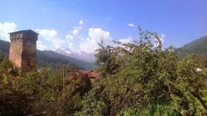 Shaulini - Image 5
