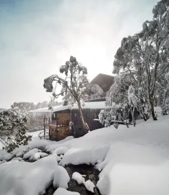 Astra Falls Creek - Image 5