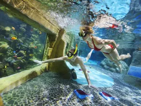 Center Parcs De Kempervennen Westerhoven - Image 2