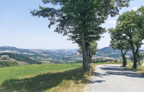 Beautiful Apartment in Villagrande di Monteco With 2 Bedrooms - Image 4