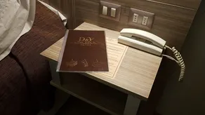 Hotel D&V Concepción - Image 3
