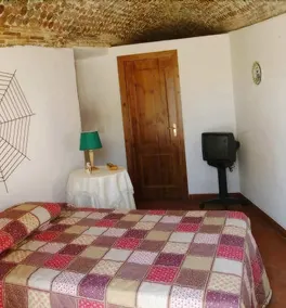 L'Agave - Image 2