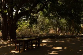Bagh Tola - Image 4
