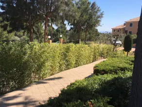 Amazing Holiday House for 9 in Miami Playa at the Golf Course With Swimming Pool - Image 2