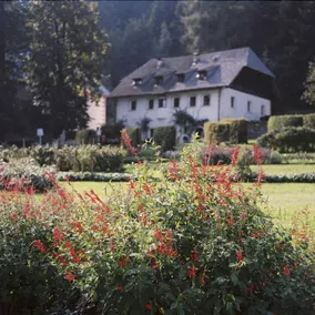 Penzl 9 - Image 4