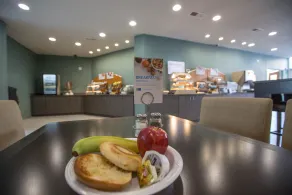 Holiday Inn Express St Louis - Central West End - Image 3