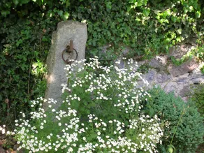Kilbury Manor Bed & Breakfast - Image 4