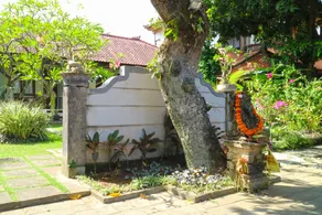 Cinthya Guesthouse - Image 5